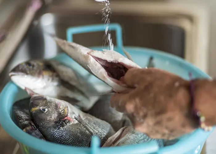 Апартаменты Murvica *